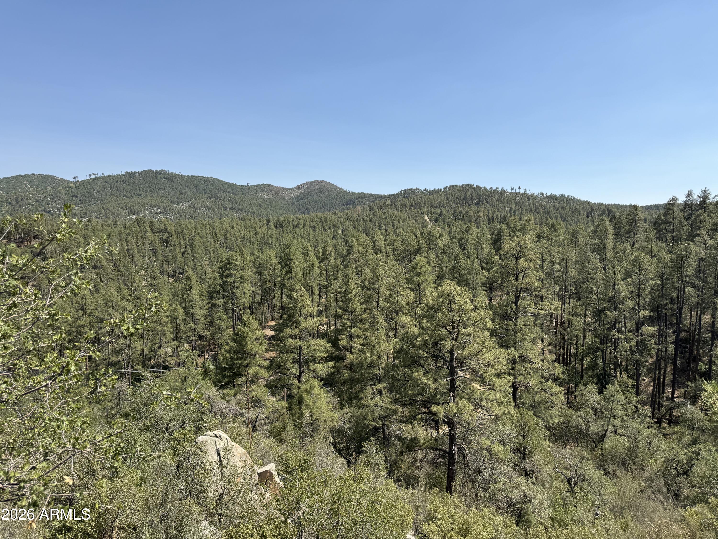 6687 Mountain View Road Crown King, AZ 86343 - Photo 4 of 18 a view of a mountain range with trees in the background