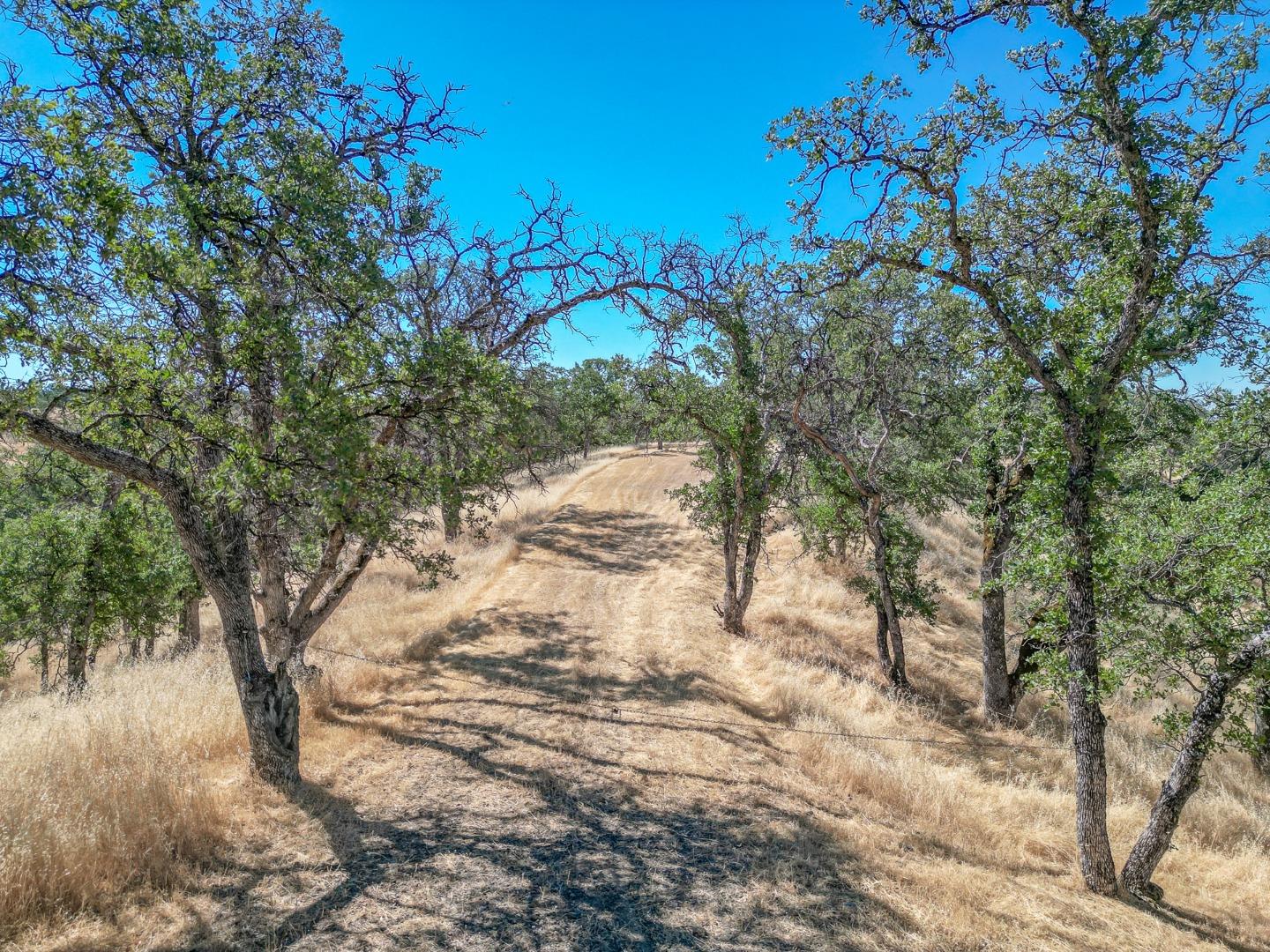 0 Wood Duck Pass Road Red Bluff, CA 96080 - Photo 1 of 22