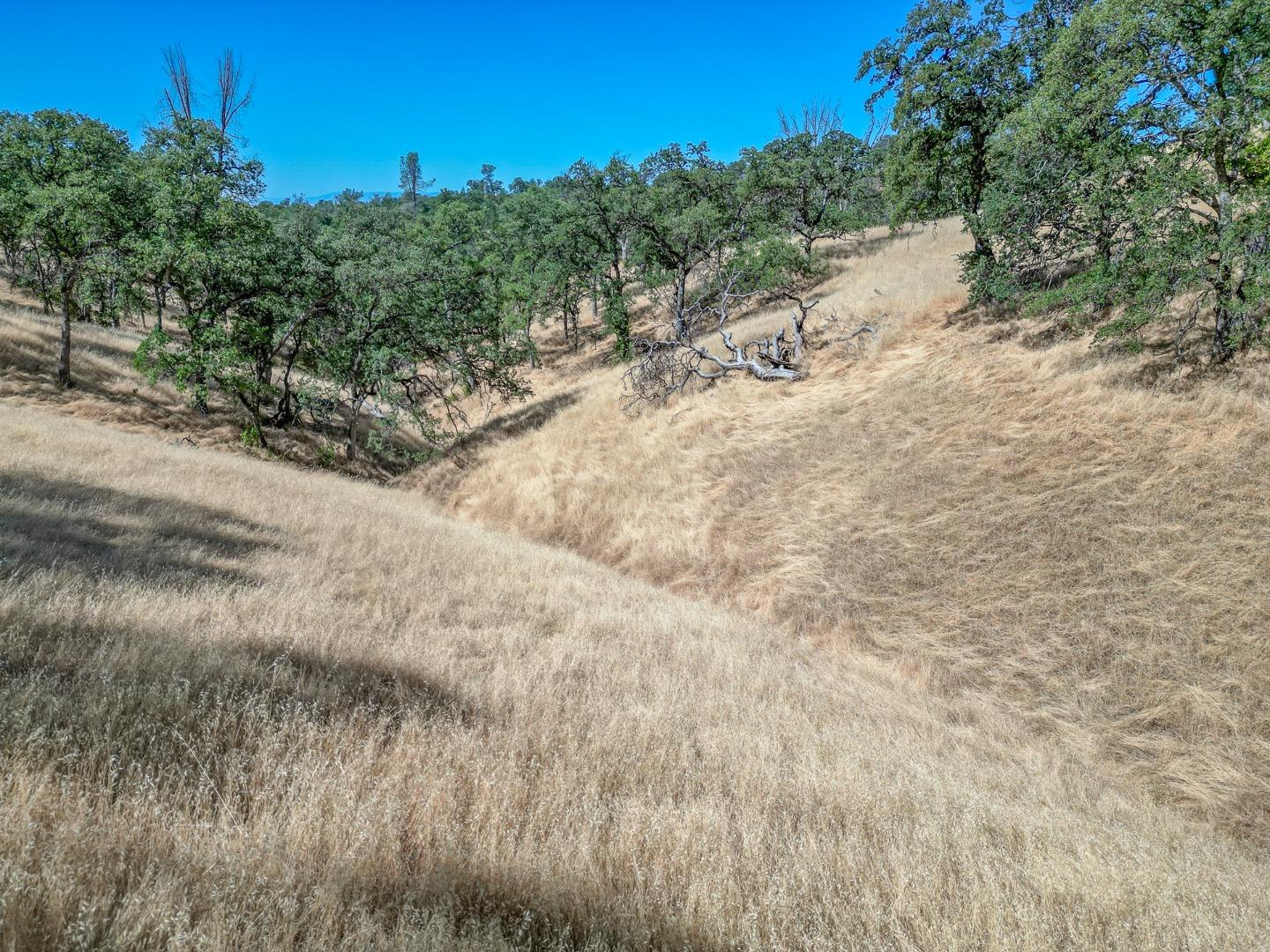 0 Wood Duck Pass Road Red Bluff, CA 96080 - Photo 21 of 22