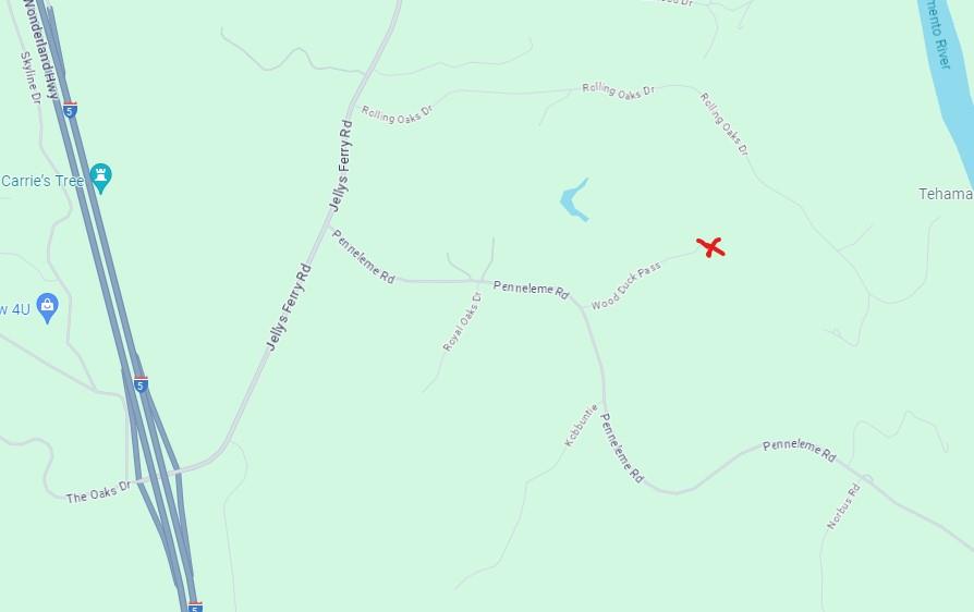 0 Wood Duck Pass Road Red Bluff, CA 96080 - Photo 6 of 22