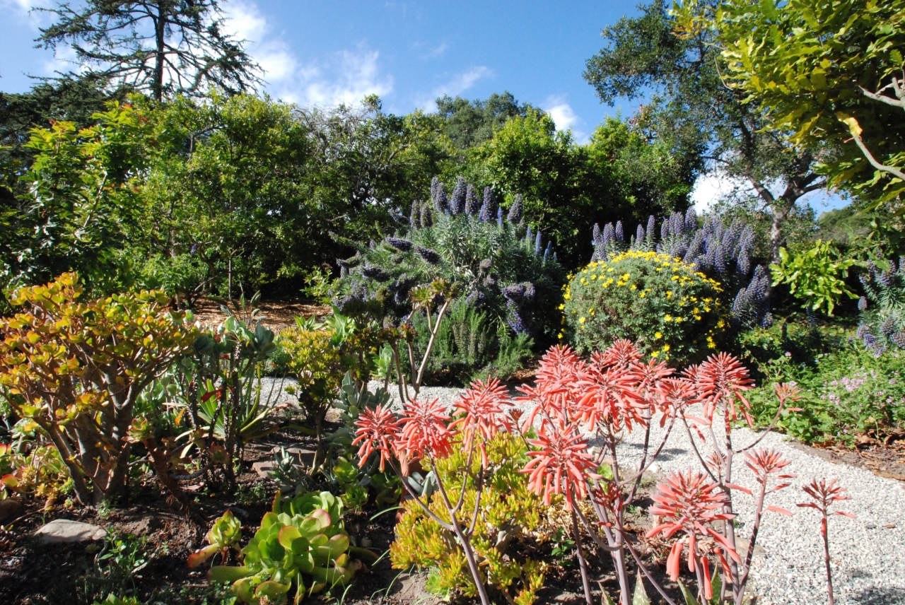 1401 Hillcrest Road Santa Barbara, CA 93103 - Photo 18 of 20 1.3 ACRES OF MATURE GARDENS AND PATHWAYS