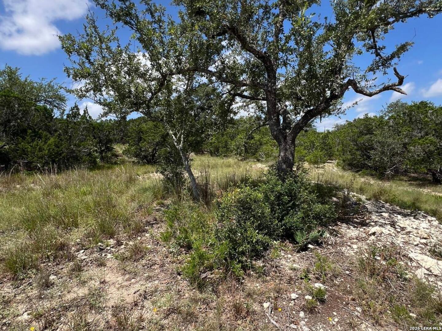 1188 Cliff Drive Spring Branch, TX 78070 - Photo 11 of 11