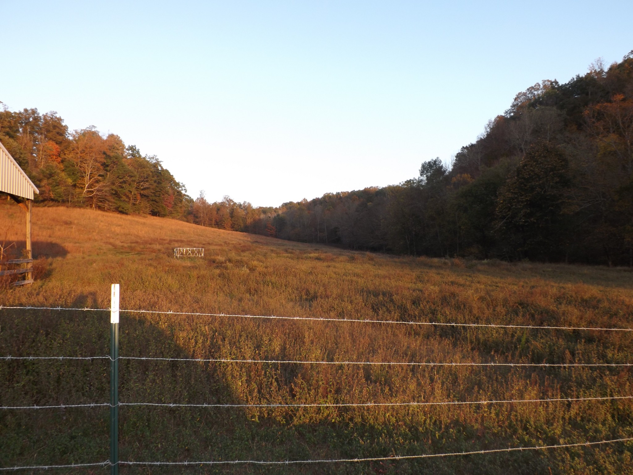 936 Charley Davis Road Prospect, TN 38477 - Photo 11 of 50
