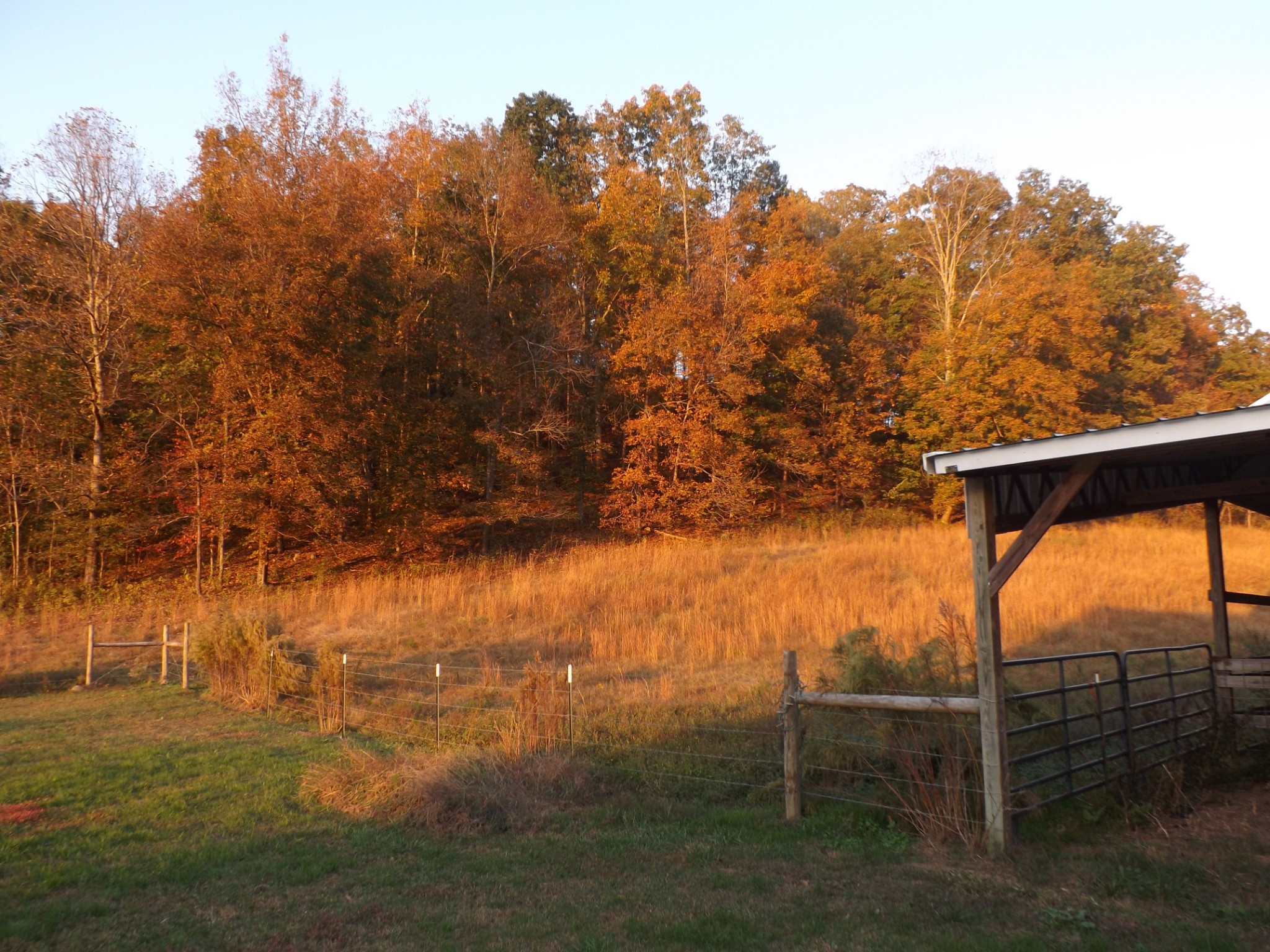 936 Charley Davis Road Prospect, TN 38477 - Photo 20 of 50 a view of outdoor space and yard