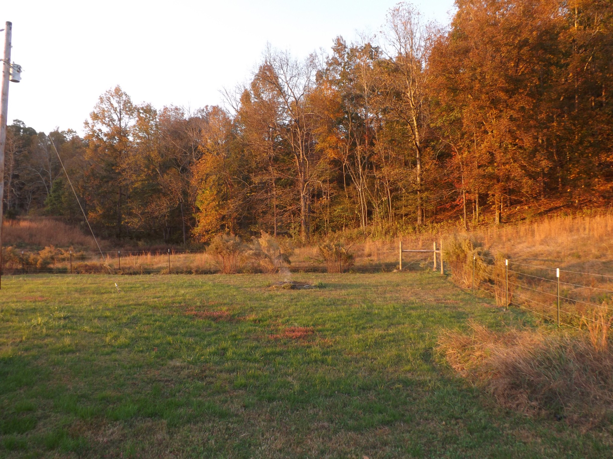 936 Charley Davis Road Prospect, TN 38477 - Photo 21 of 50 a view of yard with trees