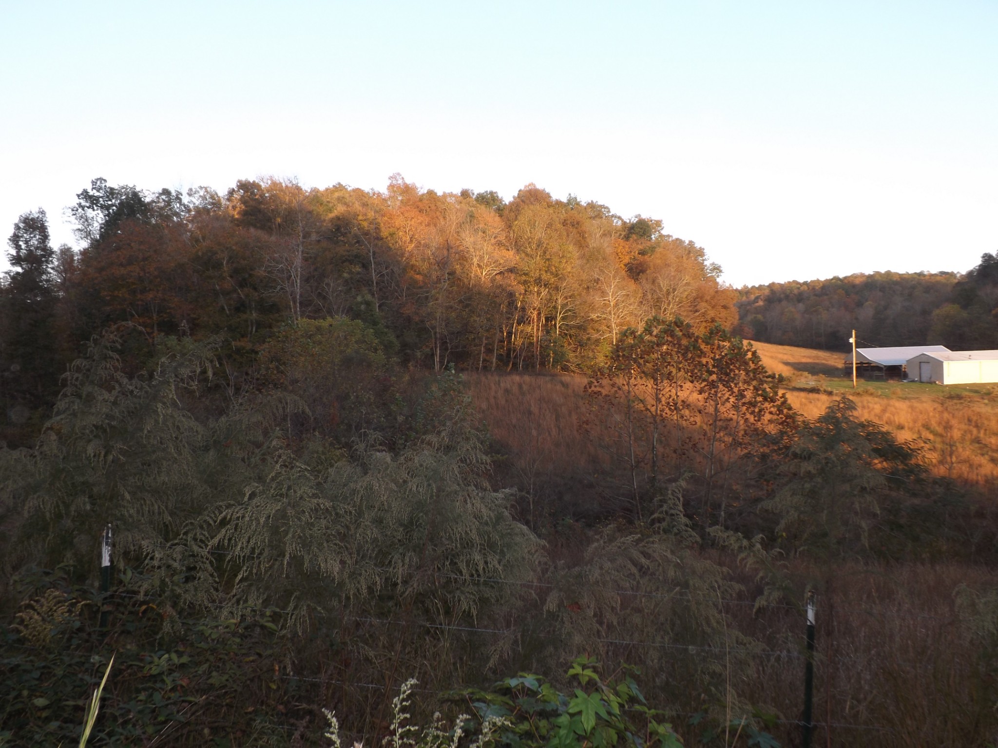 936 Charley Davis Road Prospect, TN 38477 - Photo 27 of 50 a view of a yard