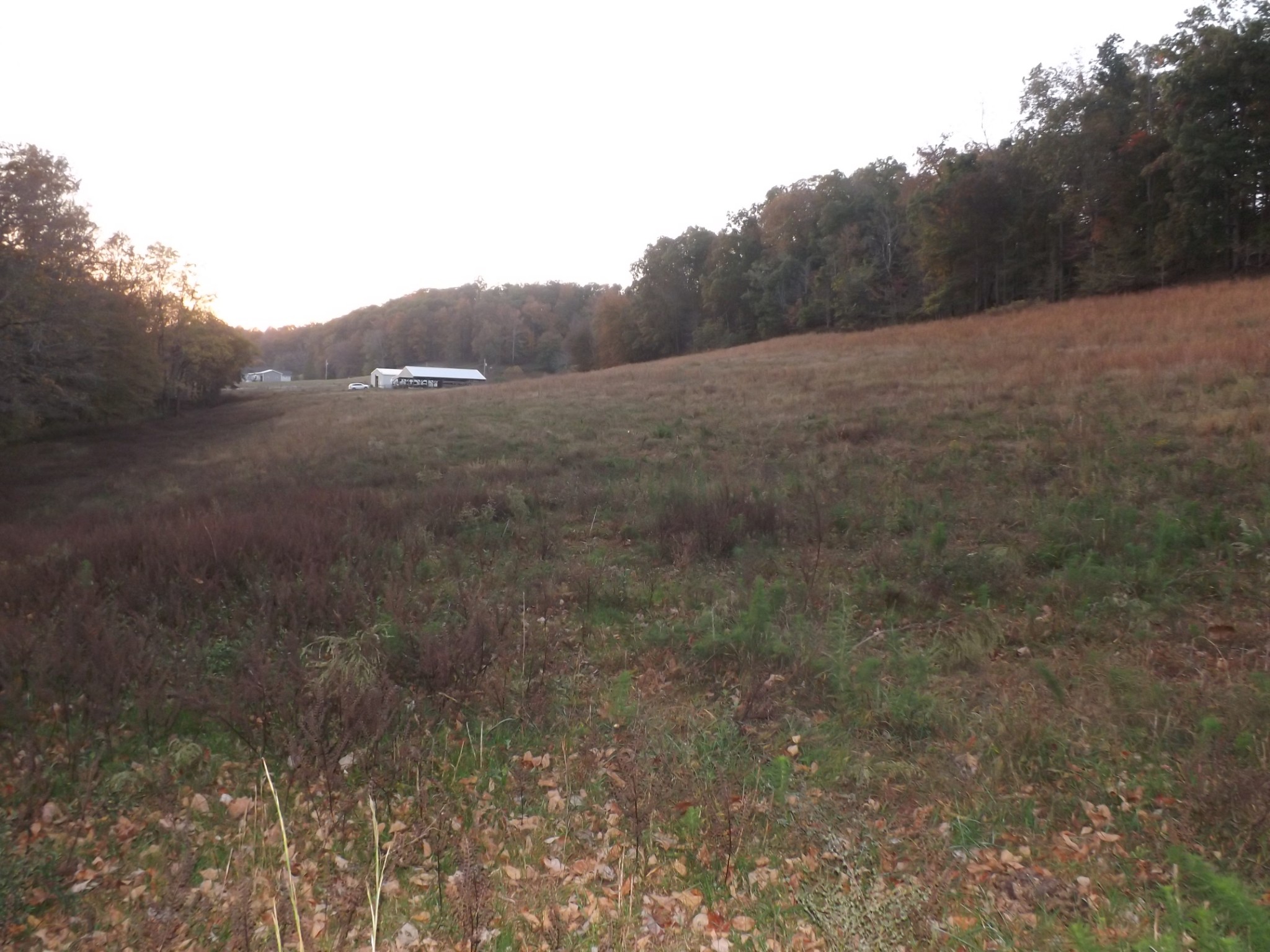 936 Charley Davis Road Prospect, TN 38477 - Photo 5 of 50 a view of a dry field