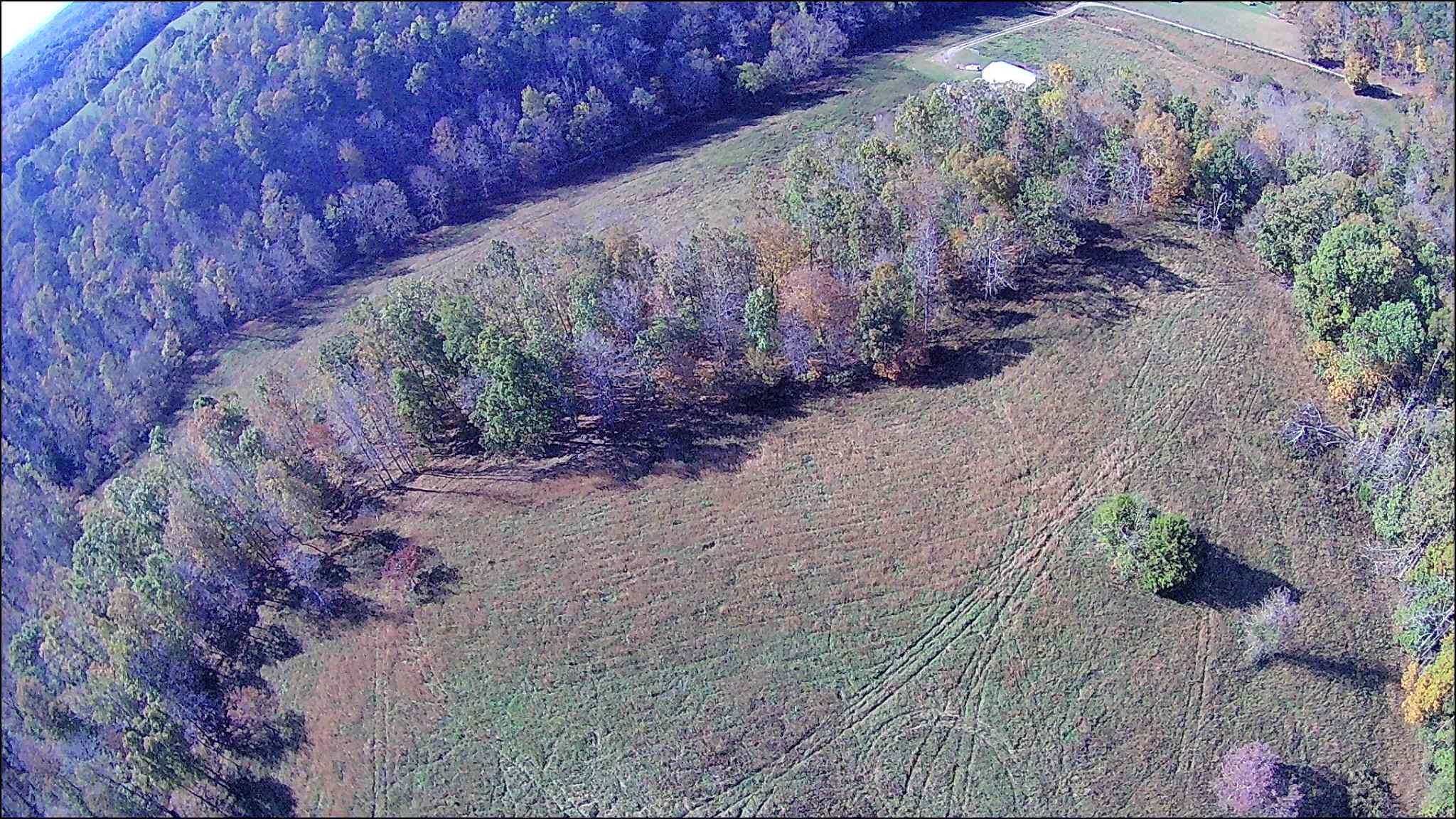 936 Charley Davis Road Prospect, TN 38477 - Photo 50 of 50 a view of a yard