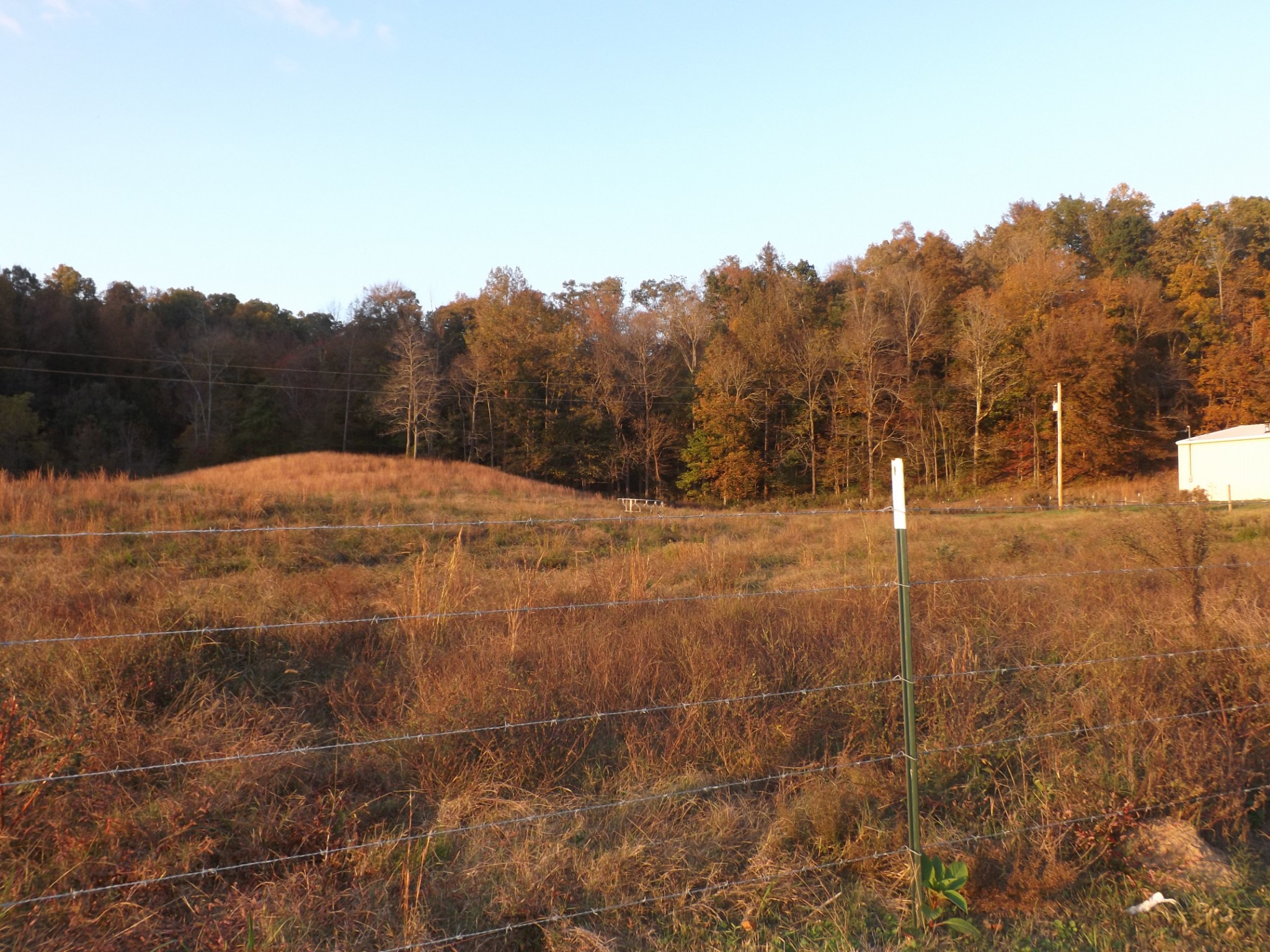 936 Charley Davis Road Prospect, TN 38477 - Photo 7 of 50 a view of open space with green field