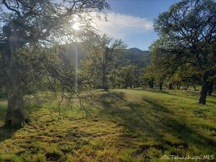 20701 Jeffery Road Tehachapi, CA 93561 - Photo 19 of 31 Gallery Image 19