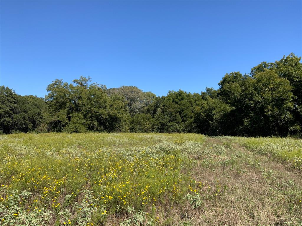 226 County Road 226 Rising Star, TX 76471 - Photo 24 of 25