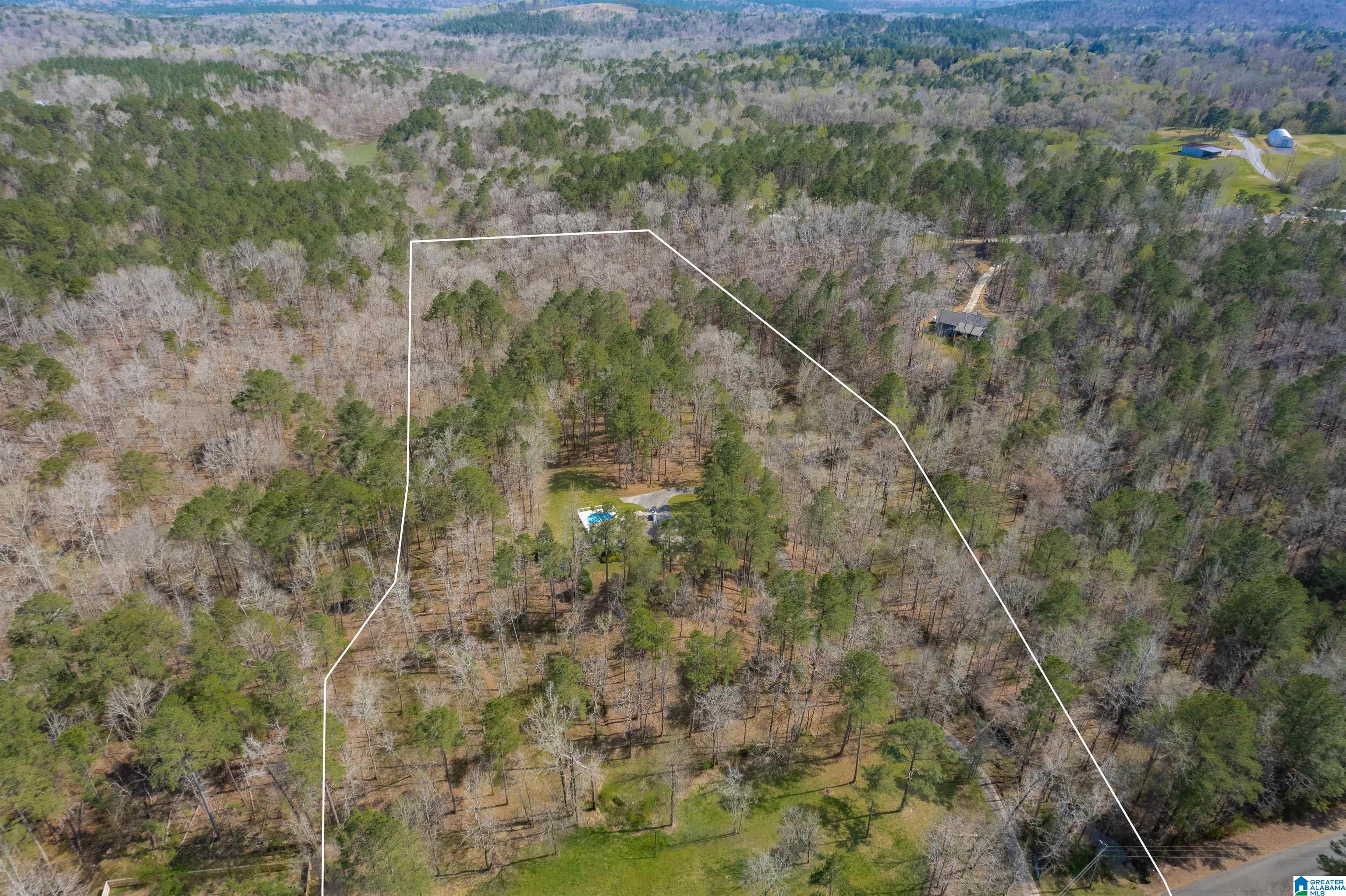 184 Sequoyah Road Pell City, AL 35128 - Photo 38 of 46