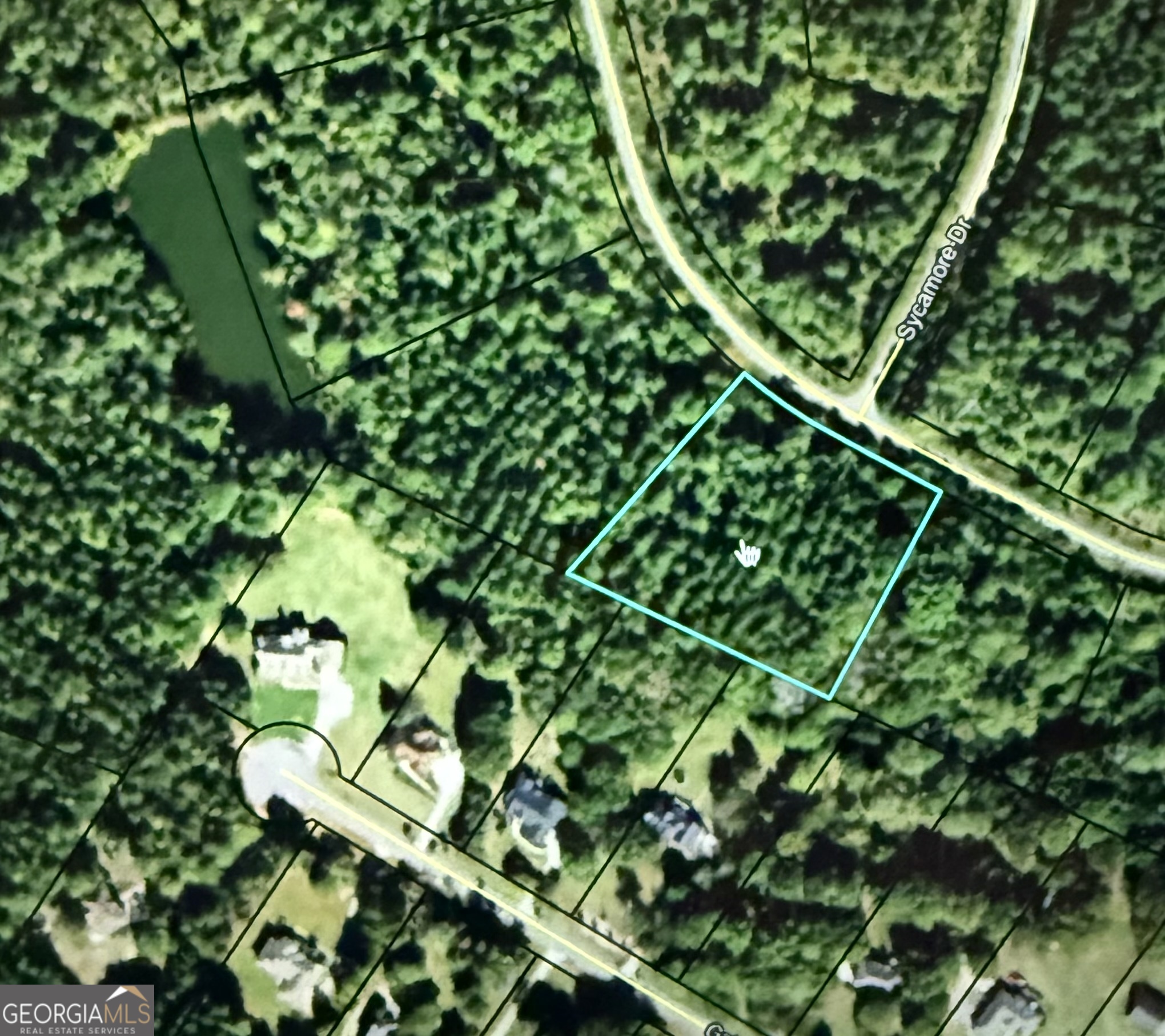 0 Colbert-Danielsville Road, Unit LOT 10 Colbert, GA 30628 - Photo 1 of 1 Gallery Image 1