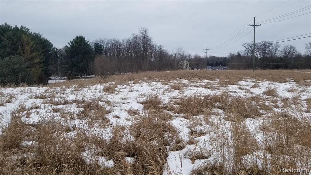 2 Dunham Road Hartland, MI 48353 - Photo 3 of 5