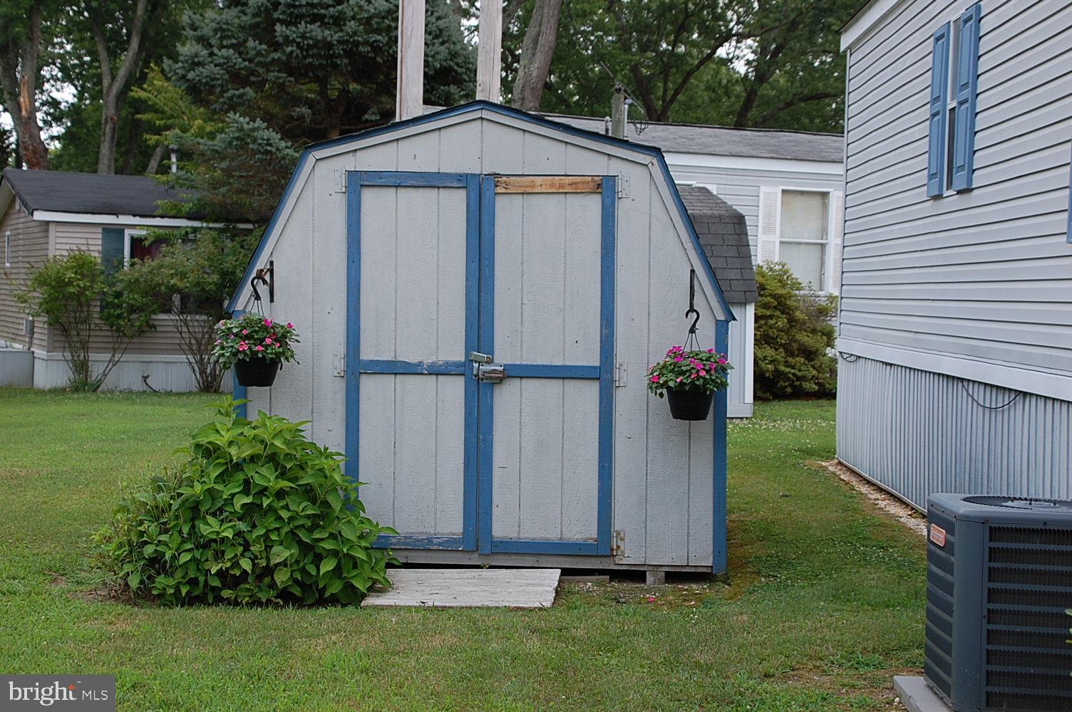Shed