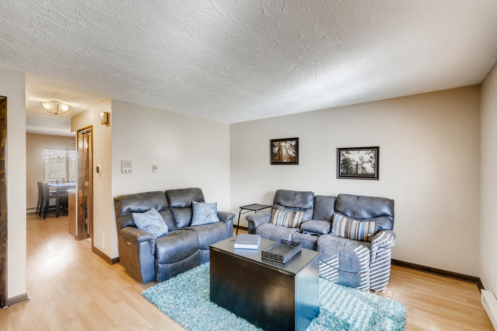 14736 South Penn Road Plainfield, IL 60544 - Photo 5 of 36