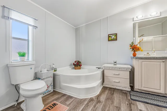 a bathroom with a sink mirror vanity and toilet