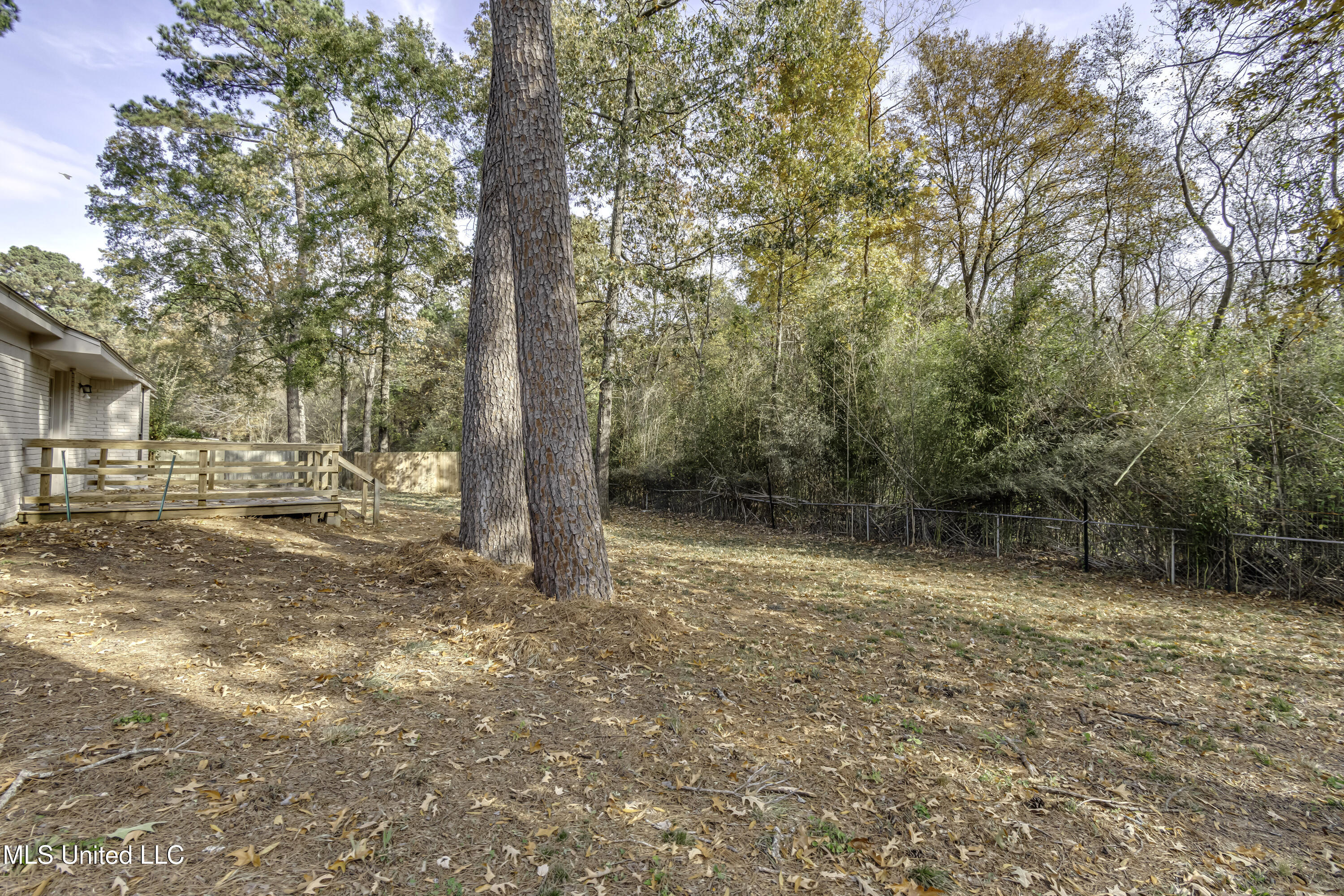 111 Shenandoah Road North Brandon, MS 39047 - Photo 5 of 47 111 Shanandoah Rd N--12