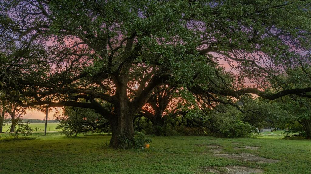 Tbd Horseshoe Bend Road Waco, TX 76708 - Photo 22 of 23 a view of a trees with a yard