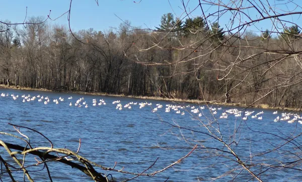 $329,500 | E6341 County Rd D, Colfax, WI 54730