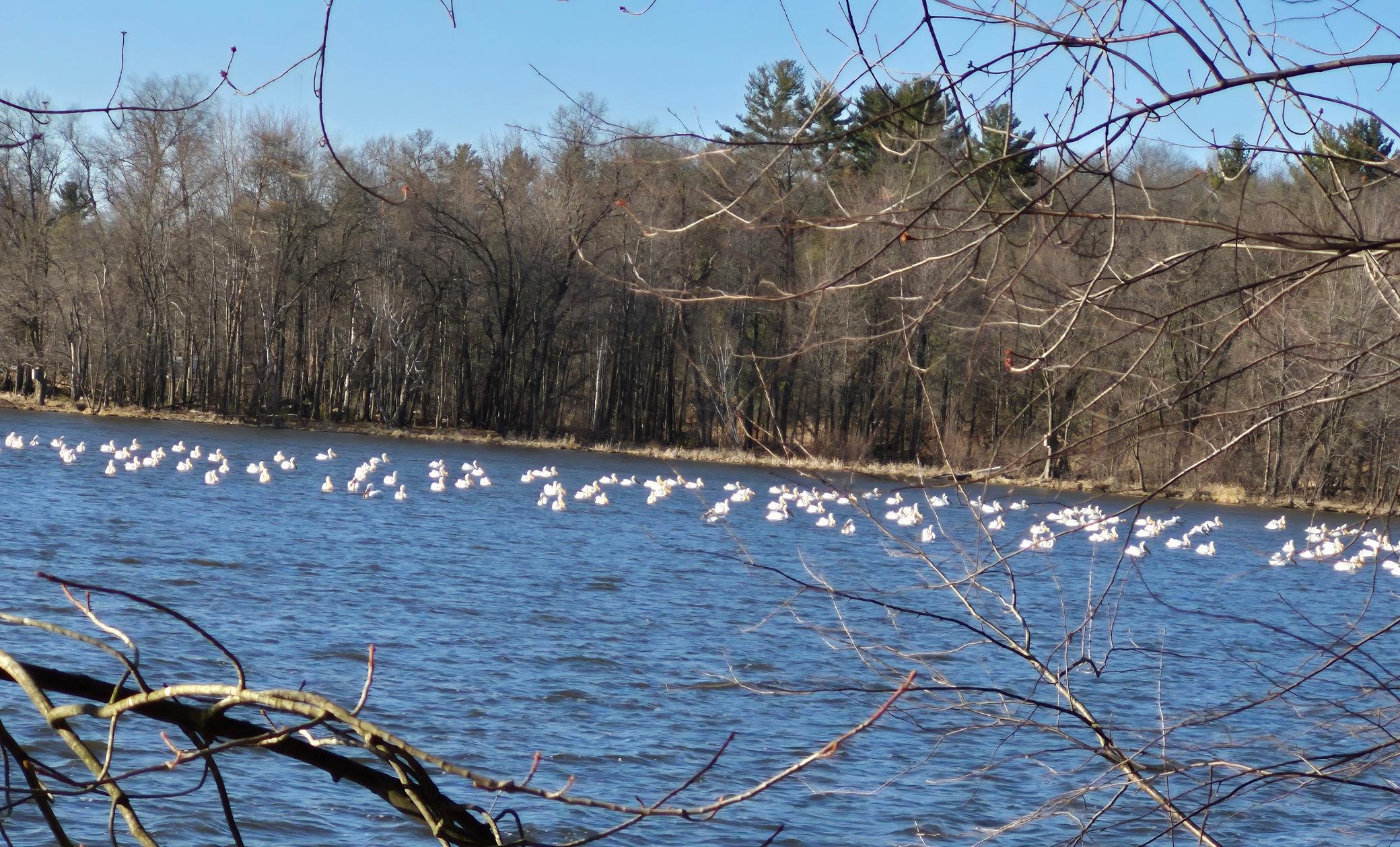 E6341 County Rd D Colfax, WI 54730 - Photo 13 of 61