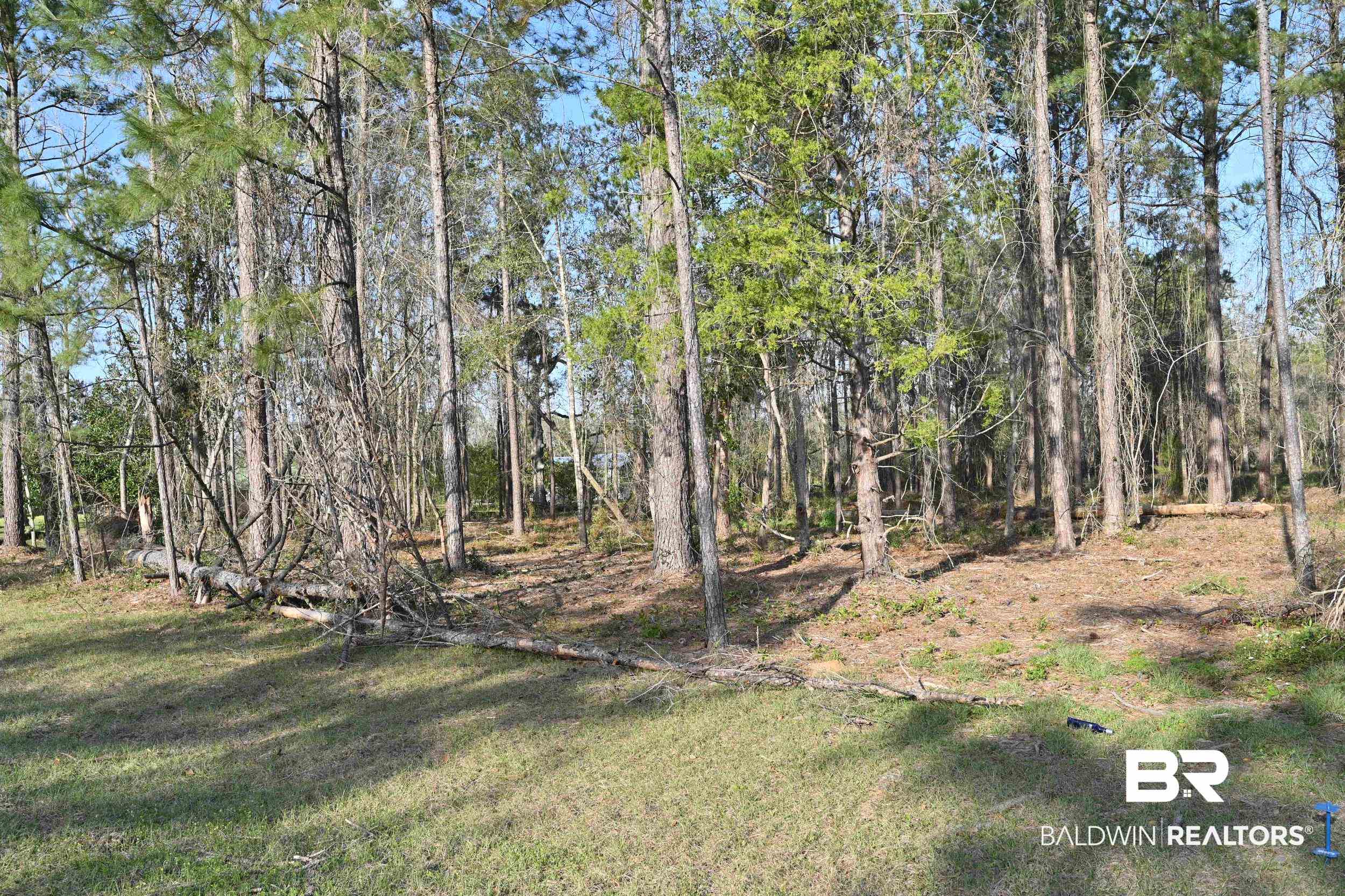 16108 Old Pierce Road Fairhope, AL 36532 - Photo 1 of 14