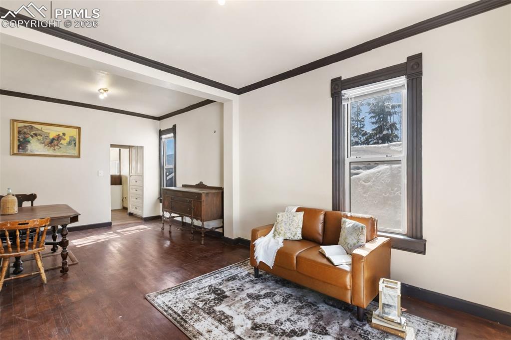 112 6th Street Victor, CO 80860 - Photo 9 of 35 a living room with furniture and a rug
