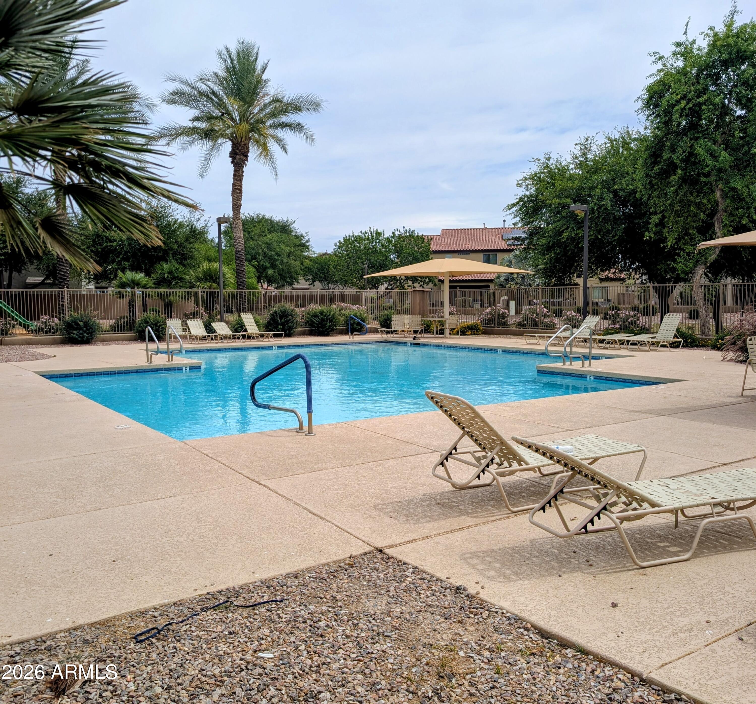 1379 East Joseph Way Gilbert, AZ 85295 - Photo 31 of 44 a view of a swimming pool with a lounge chair and palm trees