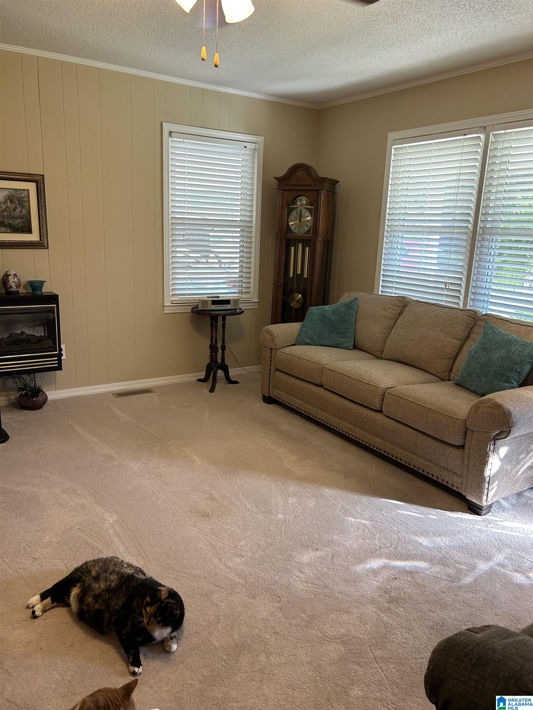 56 Kenny Street Haleyville, AL 35565 - Photo 6 of 48
