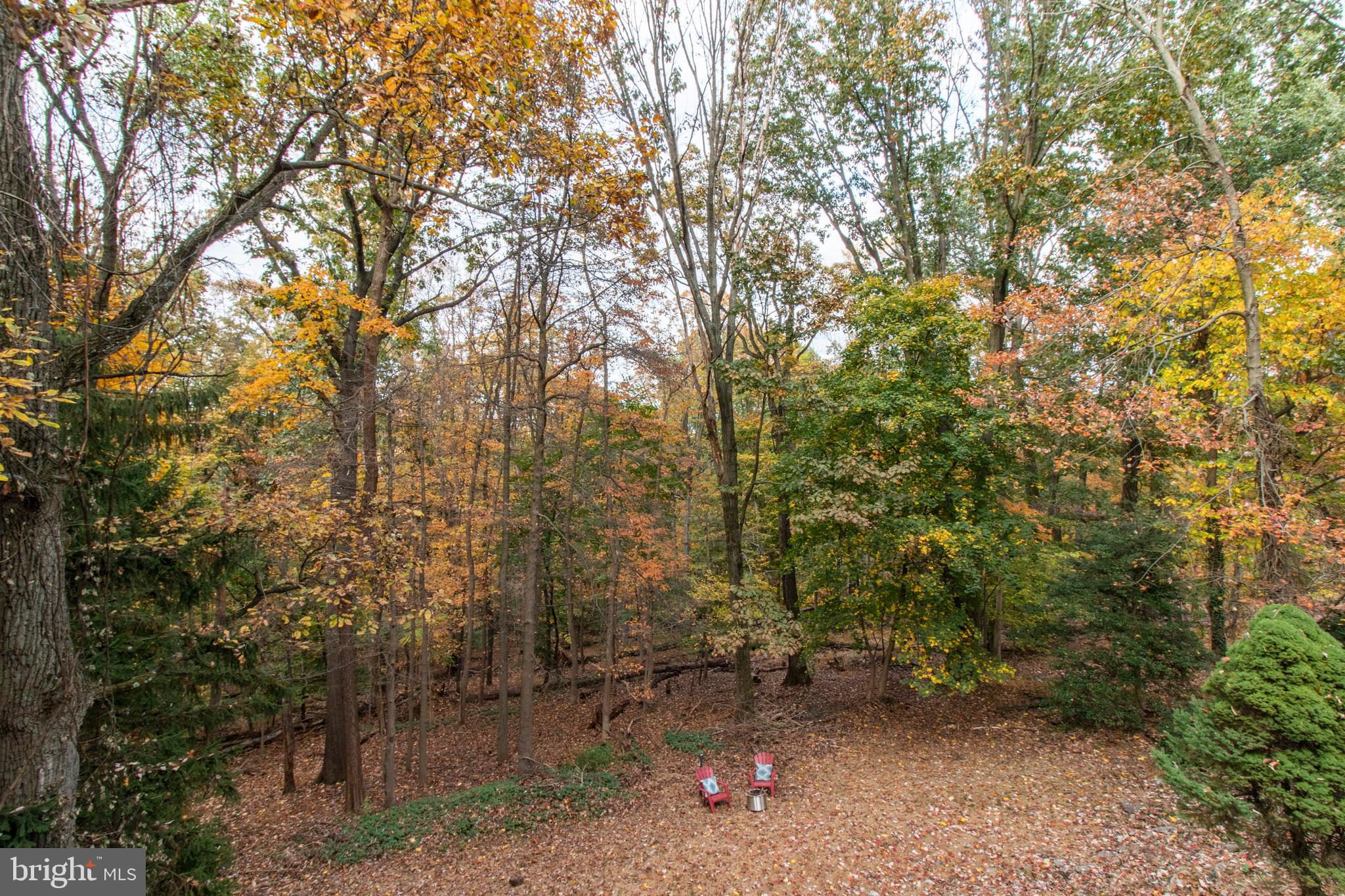 179 Gulph Hills Road Wayne, PA 19087 - Photo 19 of 41