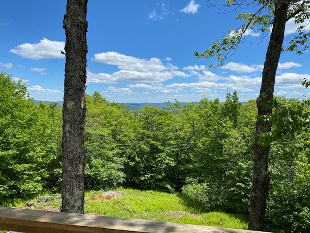 148 Spruce Grove Road, Unit 304 Wilmington, VT 05363 - Photo 10 of 35 Gallery Image 10