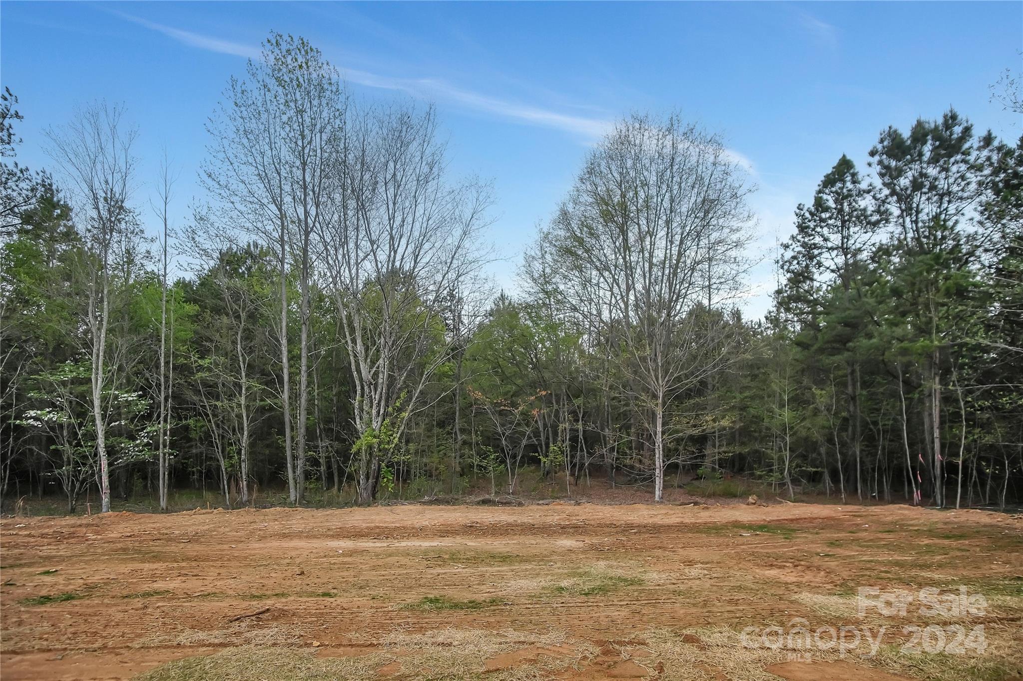 334 J C Dellinger Road Cherryville, NC 28021 - Photo 4 of 24 Gallery Image 4