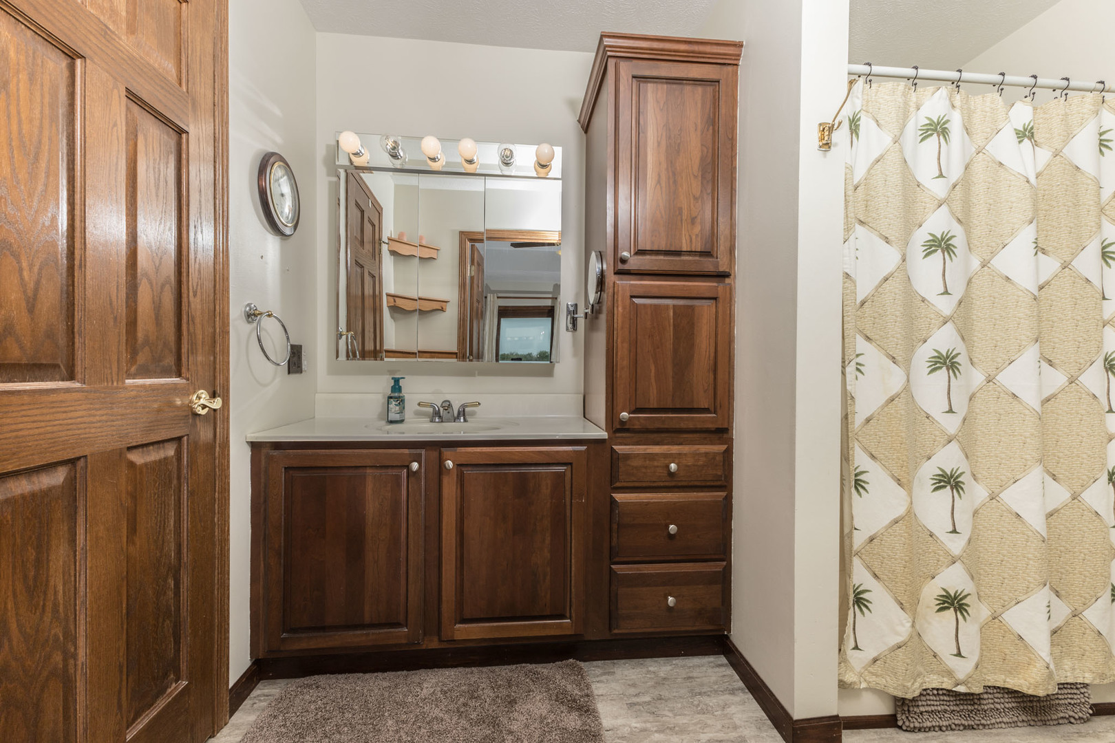 9375 East 3000 N Road Cornell, IL 61319 - Photo 10 of 39 a bathroom with a sink a mirror and a shower
