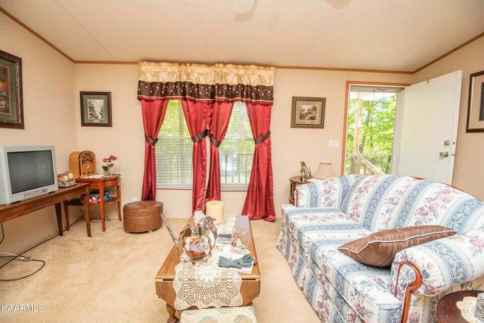 699 Lowes Gap Road Spring City, TN 37381 - Photo 16 of 41 Gallery Image 16
