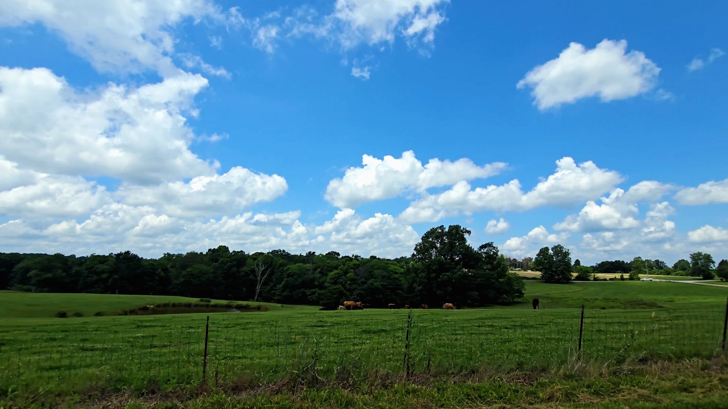 2224 Gap Road Altamont, TN 37301 - Photo 19 of 22 20260610_123354