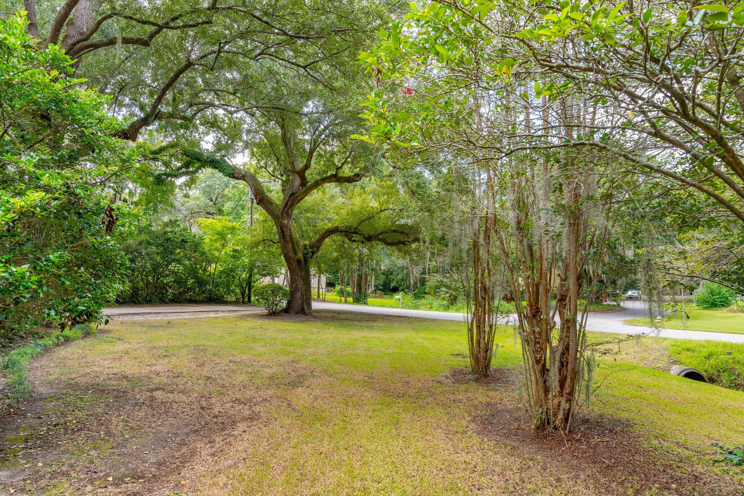 1665 Dogwood Road Charleston, SC 29414 - Photo 23 of 27 1665DogwoodRd-KeenEyeMarketing-006