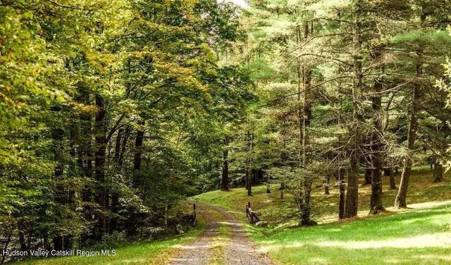 a view of outdoor space and yard
