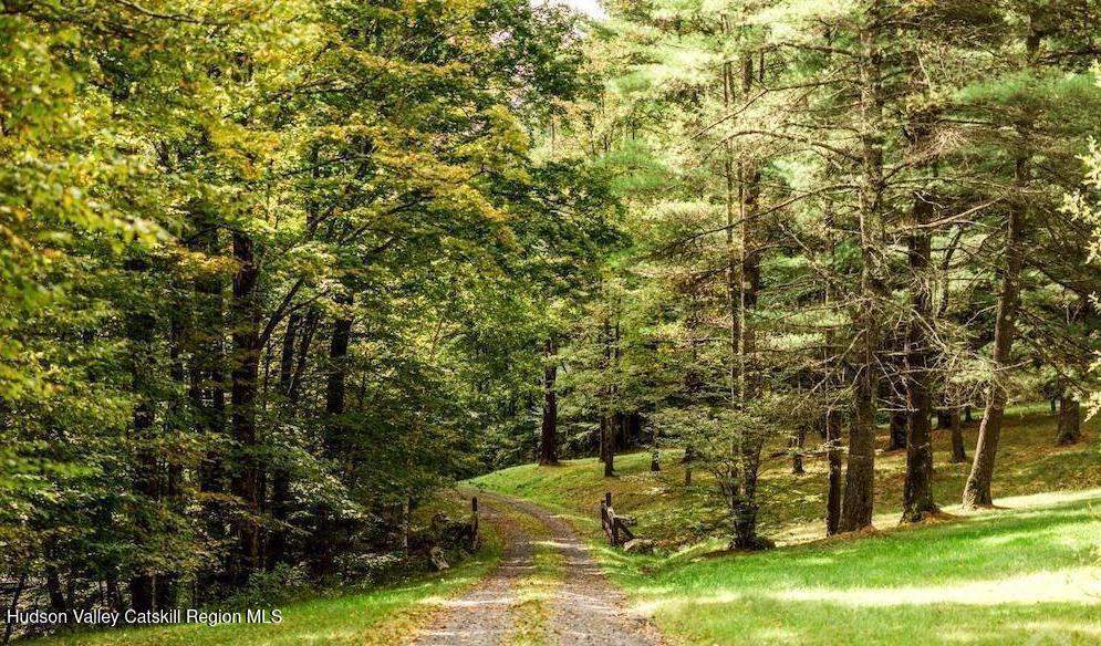 69 County Rte 24 East Chatham, NY 12060 - Photo 11 of 17 rr66