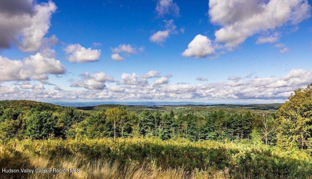 69 County Rte 24 East Chatham, NY 12060 - Photo 12 of 17 rr52