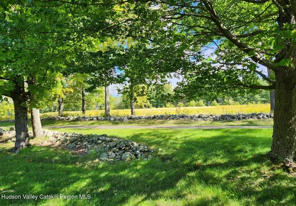 a view of backyard with large trees
