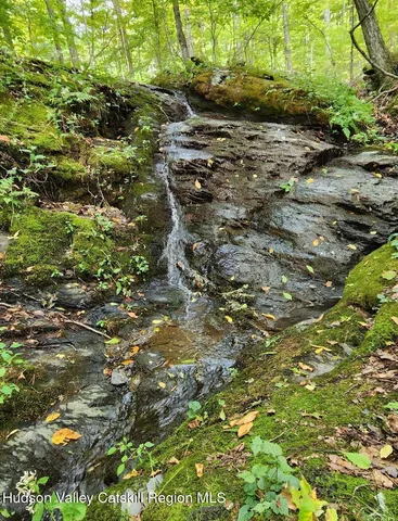 a view of a large tree