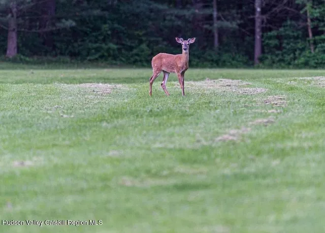 a swimming pool with a yard and outdoor seating