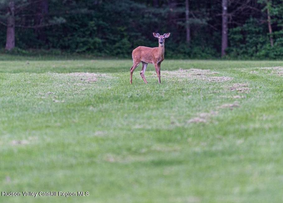 69 County Rte 24 East Chatham, NY 12060 - Photo 16 of 17 rr61