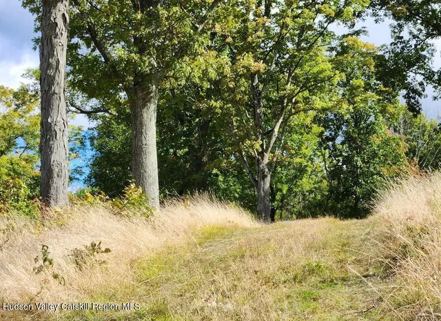 a view of a yard with large trees
