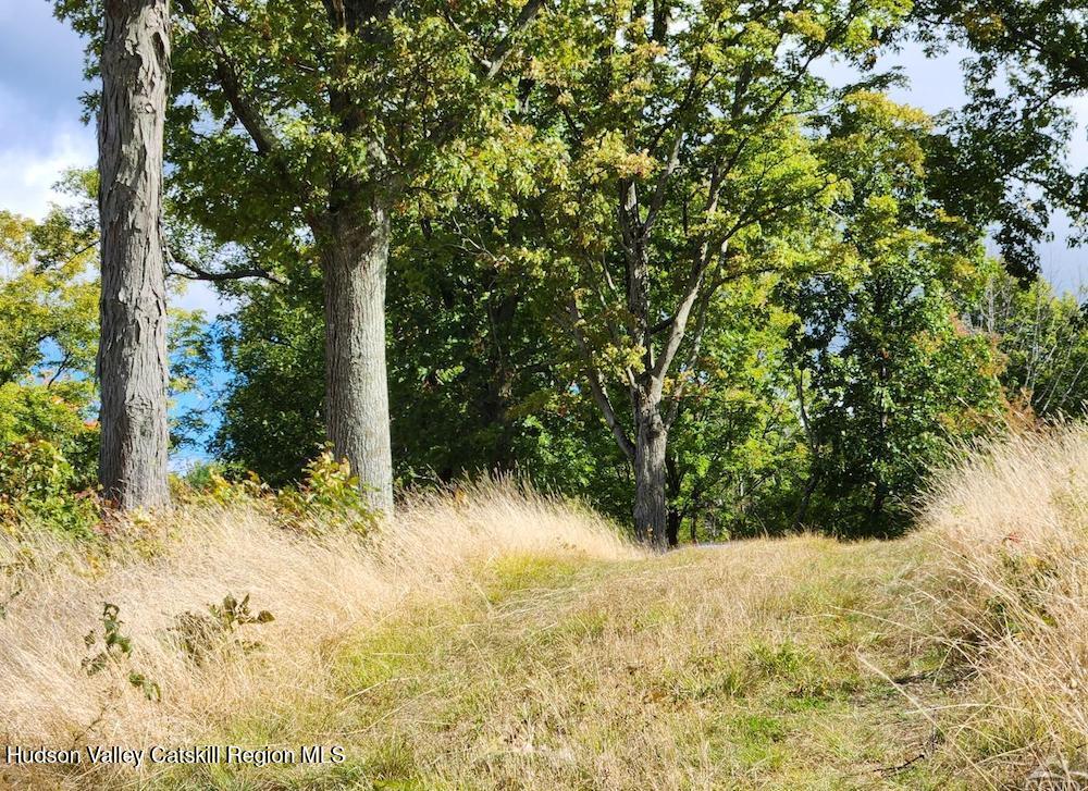 69 County Rte 24 East Chatham, NY 12060 - Photo 17 of 17 rr16