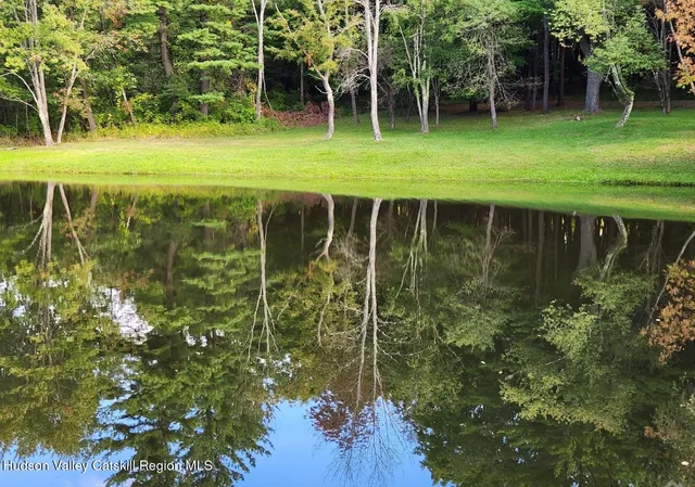 a garden view with a fountain