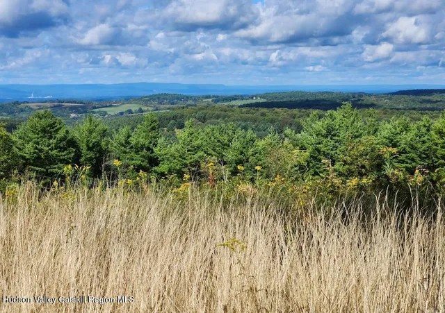 a view of a yard with an outdoor space