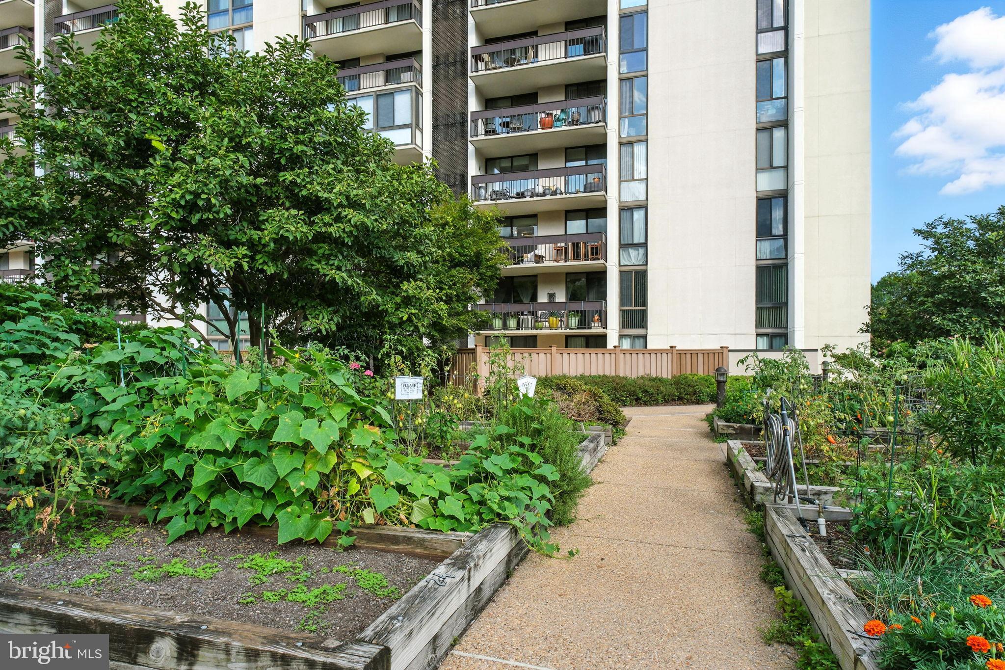 5300 Holmes Run Parkway, Unit 1210 Alexandria, VA 22304 - Photo 26 of 33 a view of a pathway with tall buildings