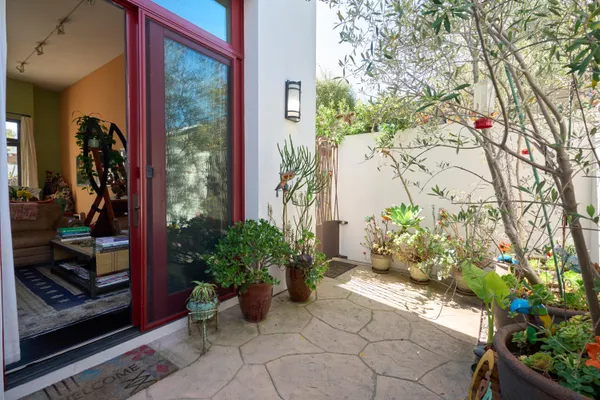 a potted plant sitting in front of a house