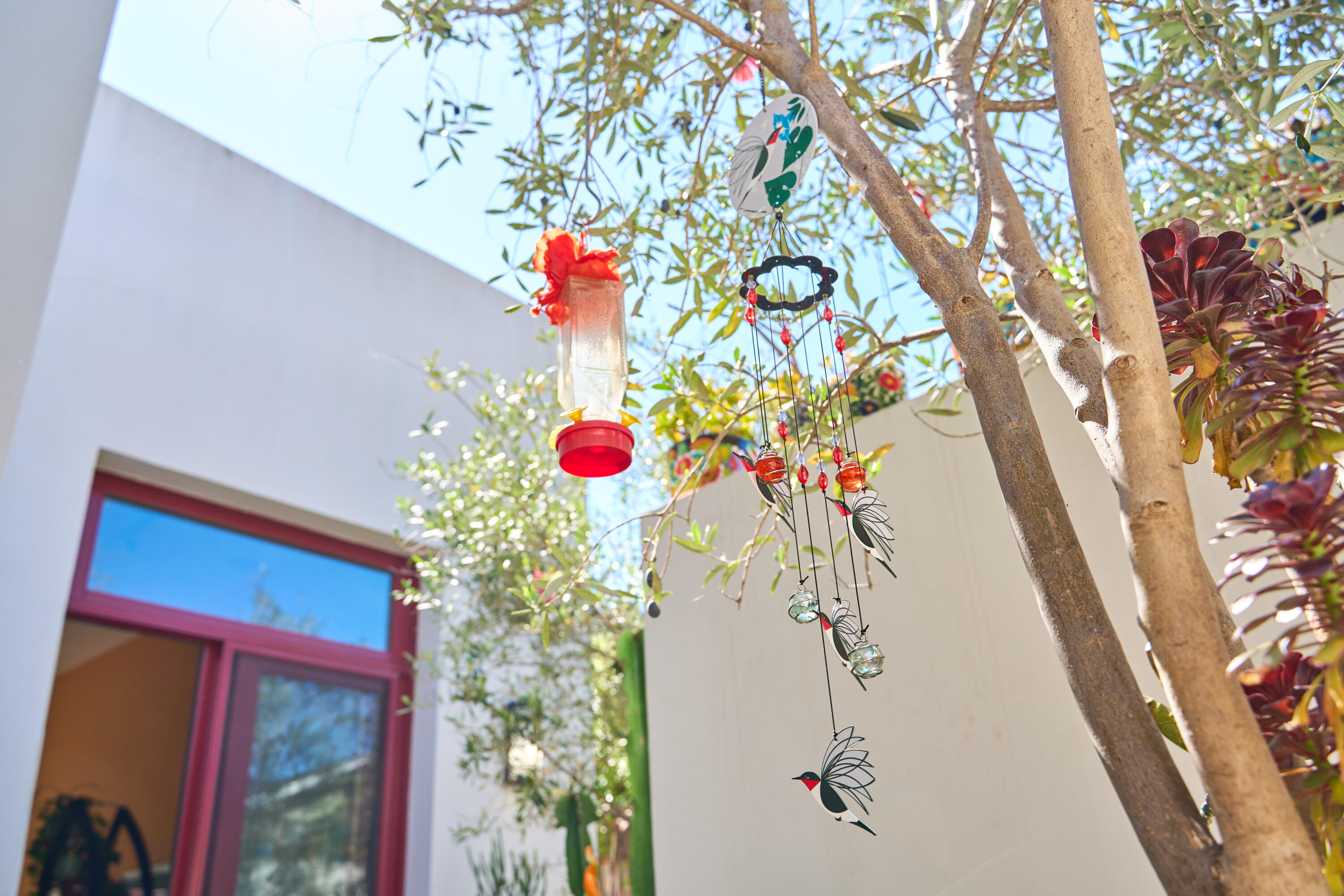 219 Equestrian Avenue Santa Barbara, CA 93101 - Photo 18 of 26 a vase of flowers sitting on a table